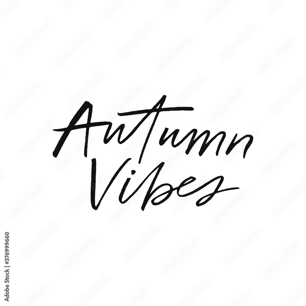 Autumn vibes, modern calligraphy quote. Vector hand written phrase Autumn vibes, modern calligraphy quote. Vector hand written phrase