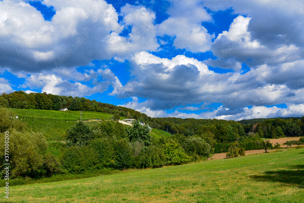 Weinbau am Schloßberg in Wasserlos-Alzenau Weinbau am Schloßberg in Wasserlos-Alzenau