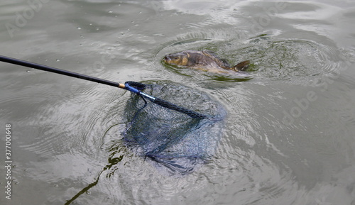 Pescare un pesce nel laghetto