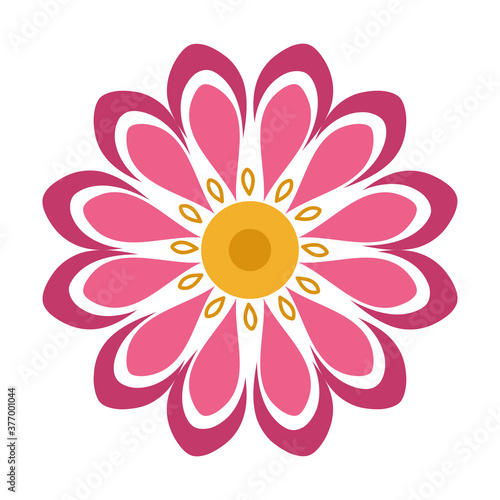 flower petal natural decoration isolated icon style