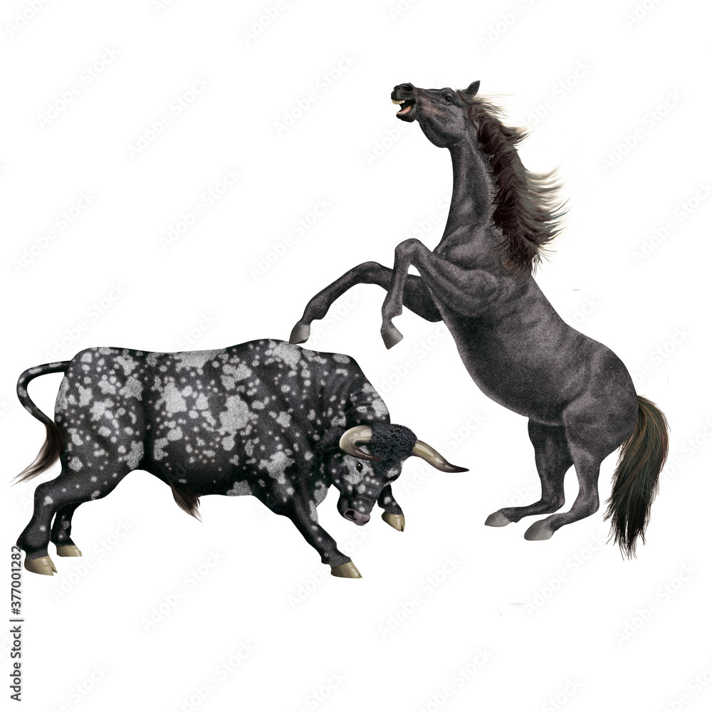 Fototapeta premium cheval, combat, taureau, tacheté, force, dangereux, animal, isolé, blanc, noir, étalon, mammifère, ferme, silhouette, illustration, nature, galop, animal de compagnie, sauvage, brun, 3-d, arabe, ch