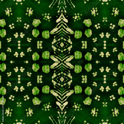 Natural Green Repeated Geometric Pattern. Fern Green Ornamental Grunge Ethnic. Spanish Mosaic. Organic Color Mosaic Oriental. Endless Ikat Pattern. Emerald Green Summer Evening Light. photo