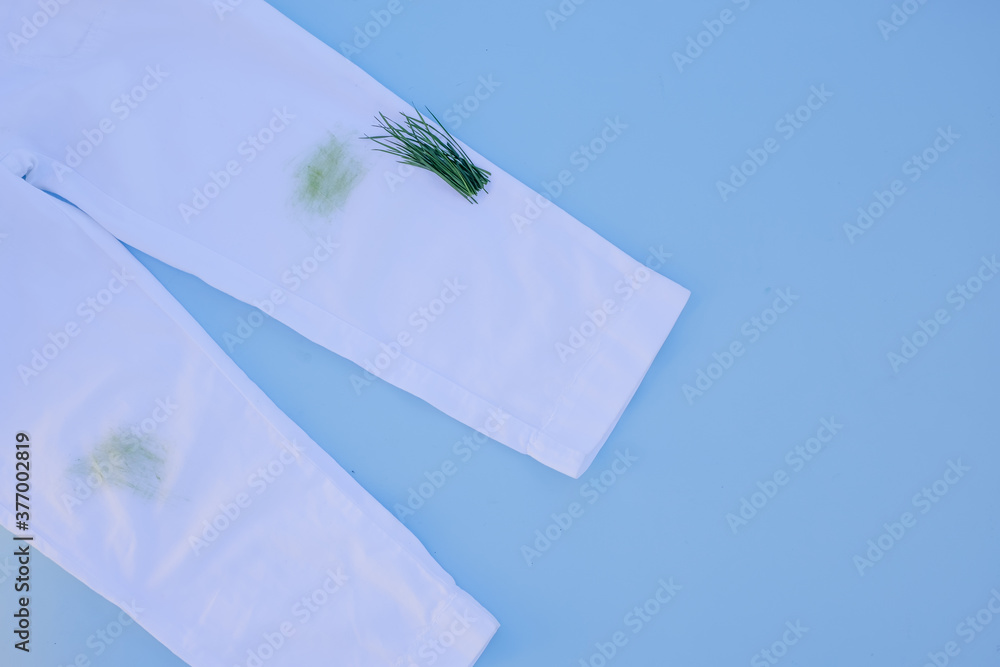 dirty grass stain on white pants.Isolated on blue background.daily life dirty stain for wash and clean concept - obrazy, fototapety, plakaty 