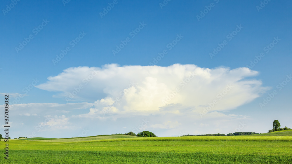 big anvil cloud on a hot summer day