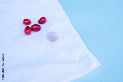 berry stain on clothes.isolated on blue background