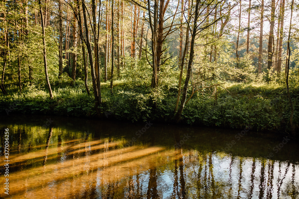 beautiful forest river on summer morning beautiful forest river on summer morning