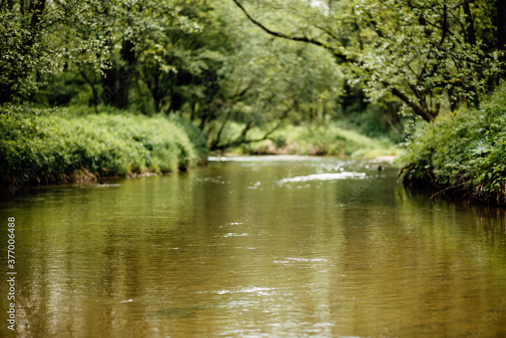 beautiful forest river on summer morning beautiful forest river on summer morning