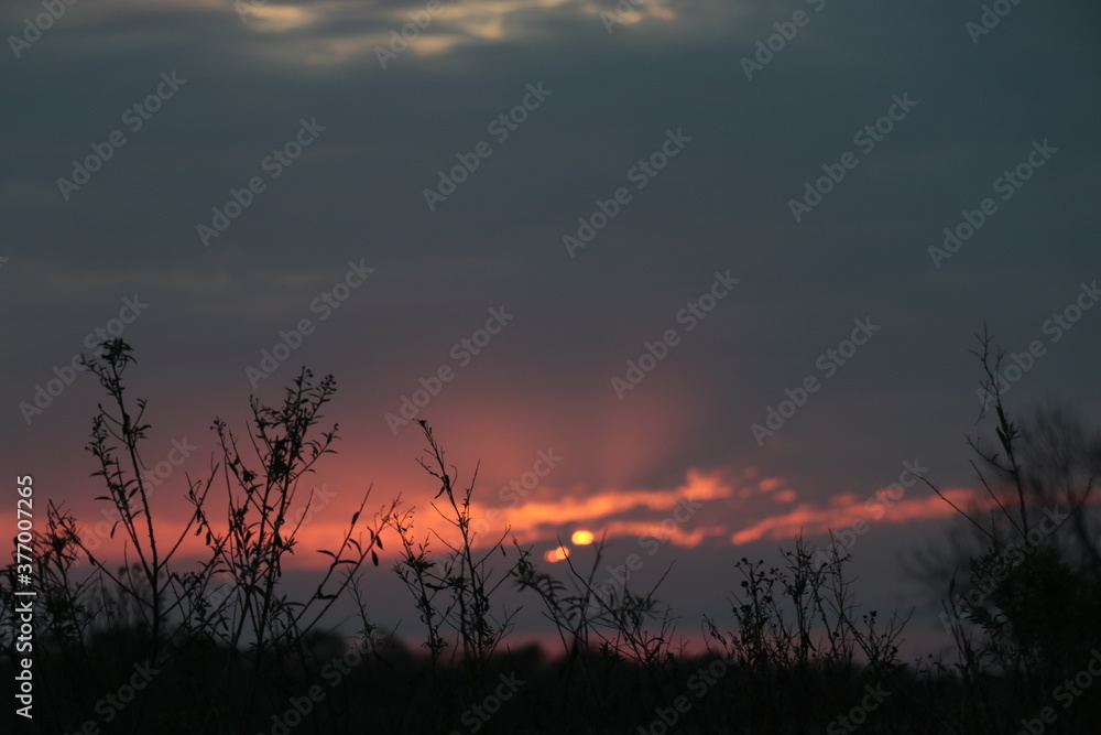 Atardecer Atardecer
