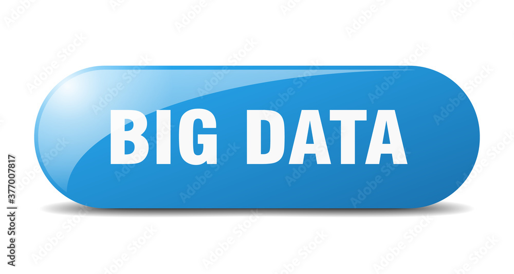 big data button. sticker. banner. rounded glass sign big data button. sticker. banner. rounded glass sign