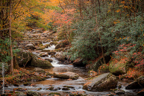 Middle Prong Little River, Fall, Great Smoky Mountains