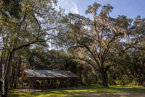 A picnic pavilion in Goethe State Forest in Levy County, Florida photo