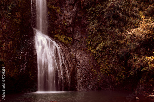 Fototapeta Naklejka Na Ścianę i Meble -  Kite Kite Falls, Neuseeland, Piha