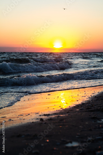 Beautiful sunset on the sea. Ocean beach with waves and reflection of sunset. Vertical view