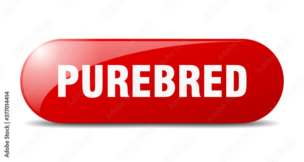 purebred button. sticker. banner. rounded glass sign purebred button. sticker. banner. rounded glass sign