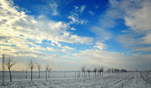Blue Sky Winter