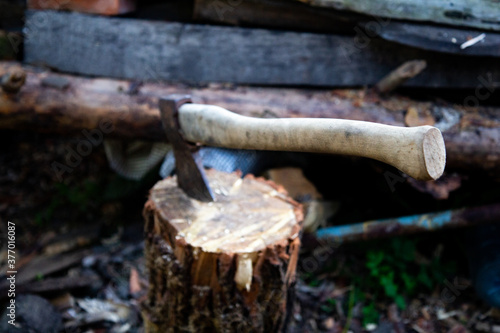 Close-up view of an axe stuck in log
