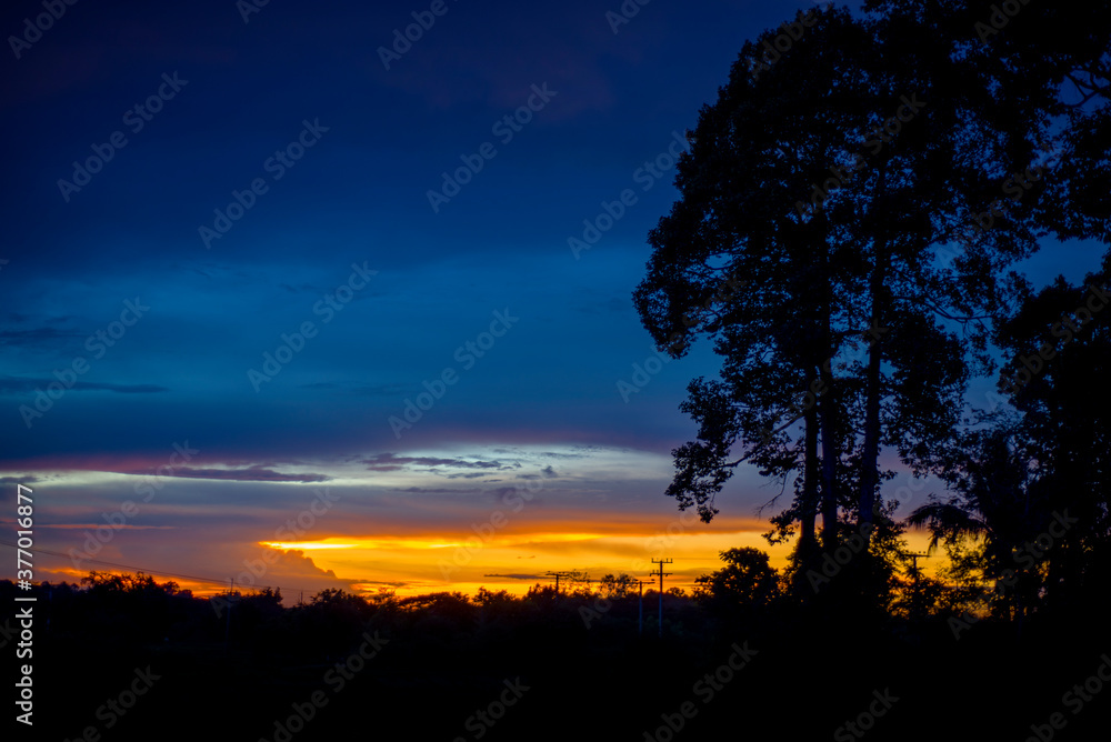 Beautiful dramatic sunset background. soft focus. foreground tree silhouette.