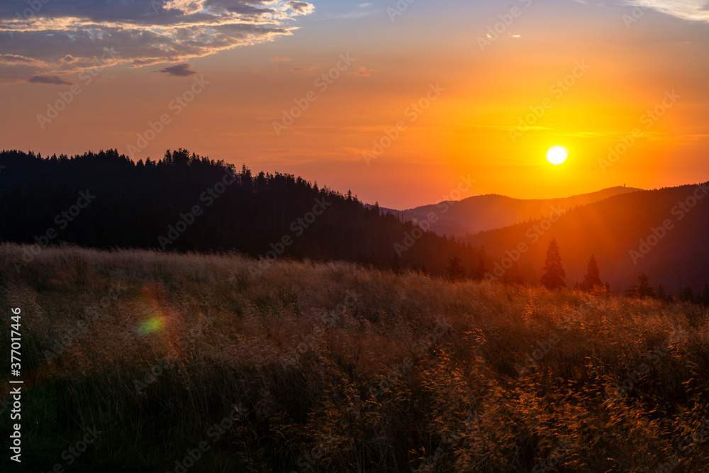 W sercu Gorców widok z łąki pod Czołem Turbacza wschodzące nad Gorcem słońce