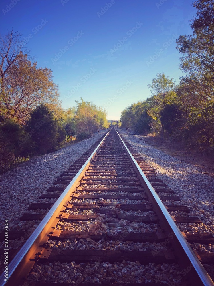 Fototapeta premium railroad in autumn