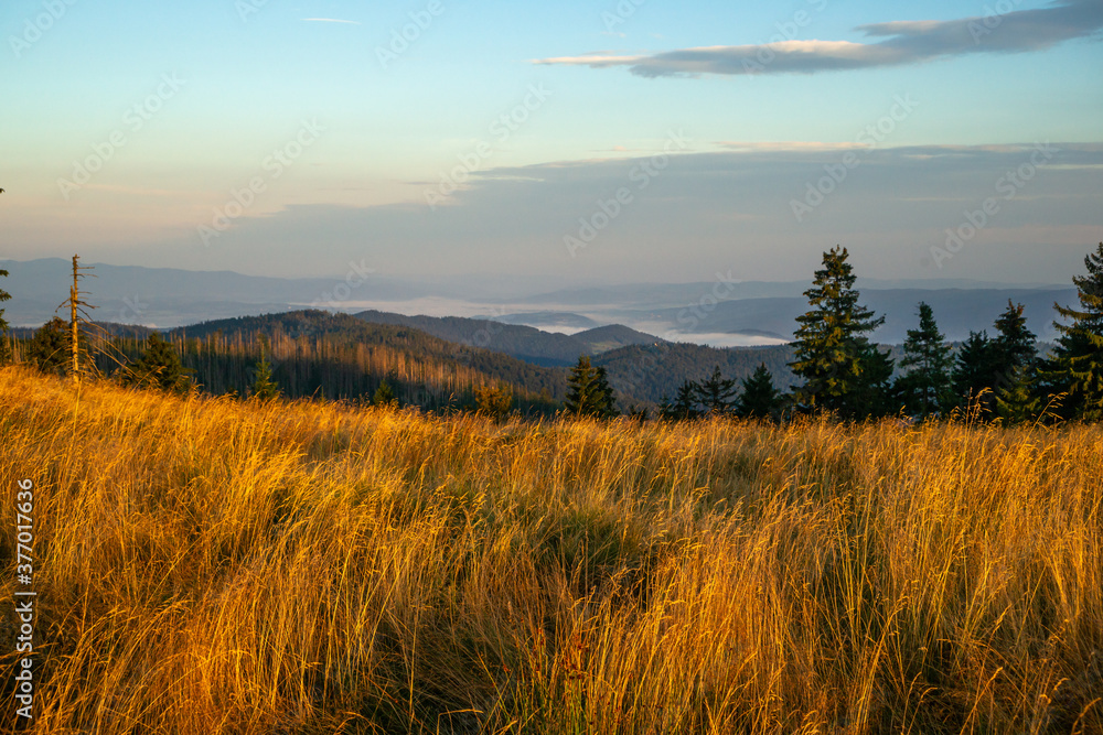 Beskid wyspowy, widok z czoła Turbacza Beskid wyspowy, widok z czoła Turbacza