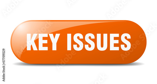 key issues button. sticker. banner. rounded glass sign