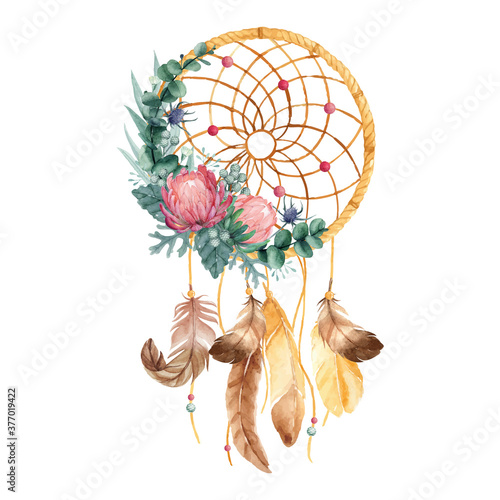 Watercolor dreamcatcher with Protea flowers
