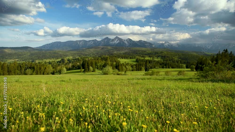meadow and mountains - Tatras mountains during spring meadow and mountains - Tatras mountains during spring