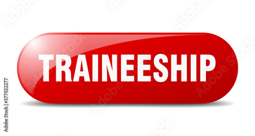 traineeship button. sticker. banner. rounded glass sign