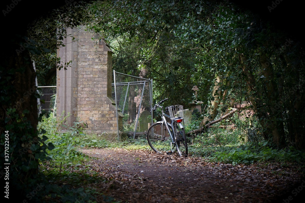 bicycle in the woods of an old cemetery. Boston Lincs. UK