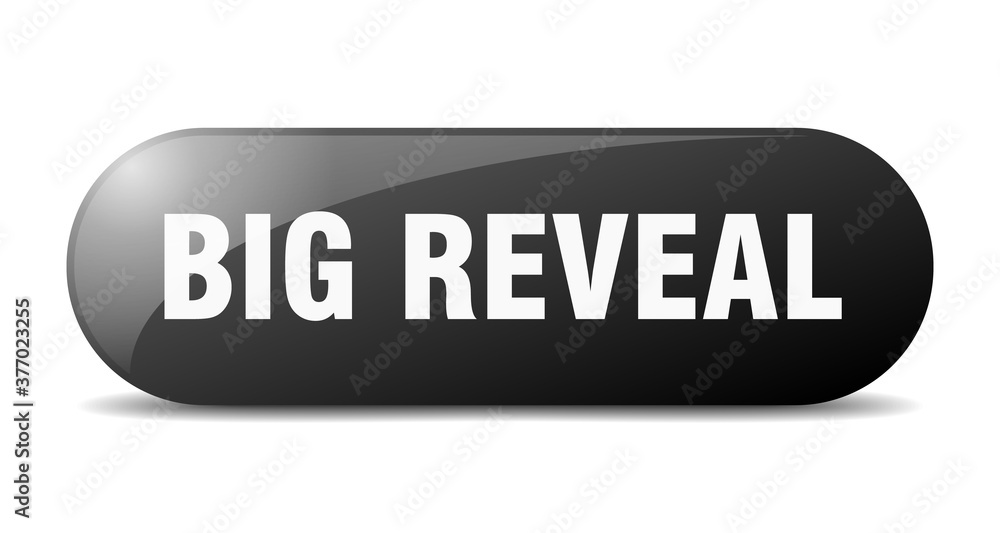 big reveal button. sticker. banner. rounded glass sign big reveal button. sticker. banner. rounded glass sign