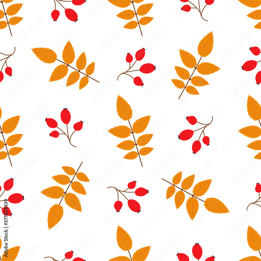 Fototapeta premium Rose hip. Autumn seamless patterns. 