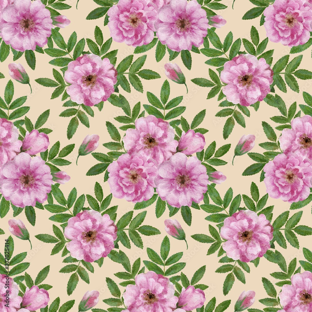  Cute romantic vintage floral seamless pattern with wild rose flowers. Watercolor hand drawn illustration.