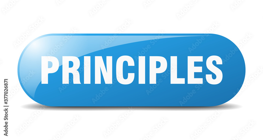 principles button. sticker. banner. rounded glass sign principles button. sticker. banner. rounded glass sign