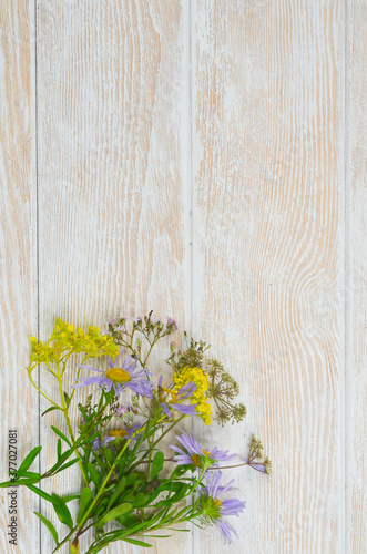 Composition of wild flowers on a white wooden background