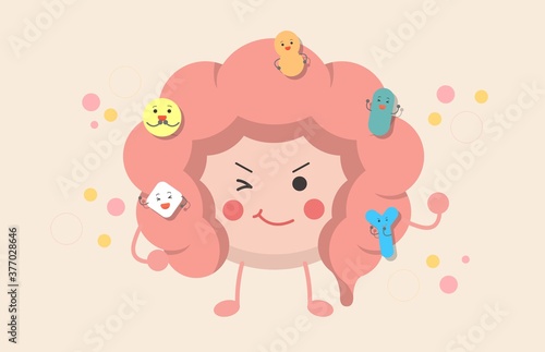 The intestines of human organs, the effect of probiotics on the digestive tract