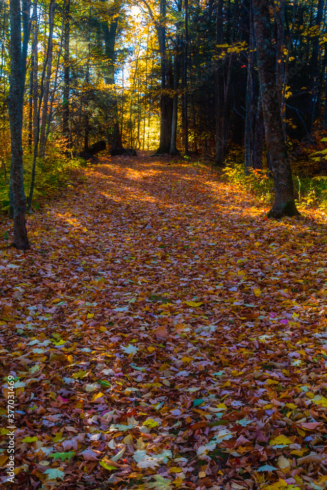 Autumn in the Great Smoky Mountains National Park Autumn in the Great Smoky Mountains National Park