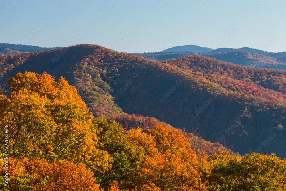Autumn in the Great Smoky Mountains National Park Autumn in the Great Smoky Mountains National Park