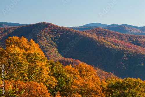 Fototapeta Naklejka Na Ścianę i Meble -  Autumn in the Great Smoky Mountains National Park