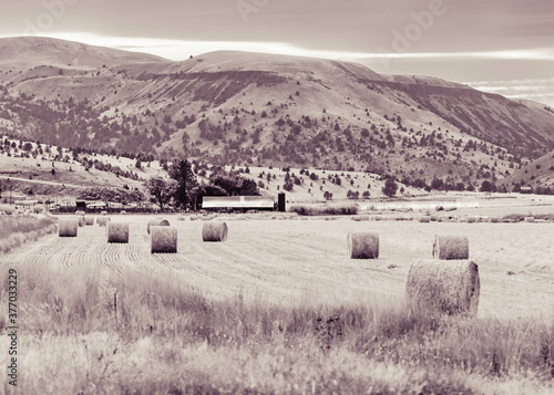 Working farm with hay bale rolls in field during summer.  Tall grass in foreground, tractor and barn in middle of photo, hills in background.