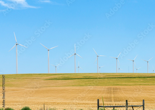 Large windmills in motion in wheat field with barbed wire and wood fence in foreground. 