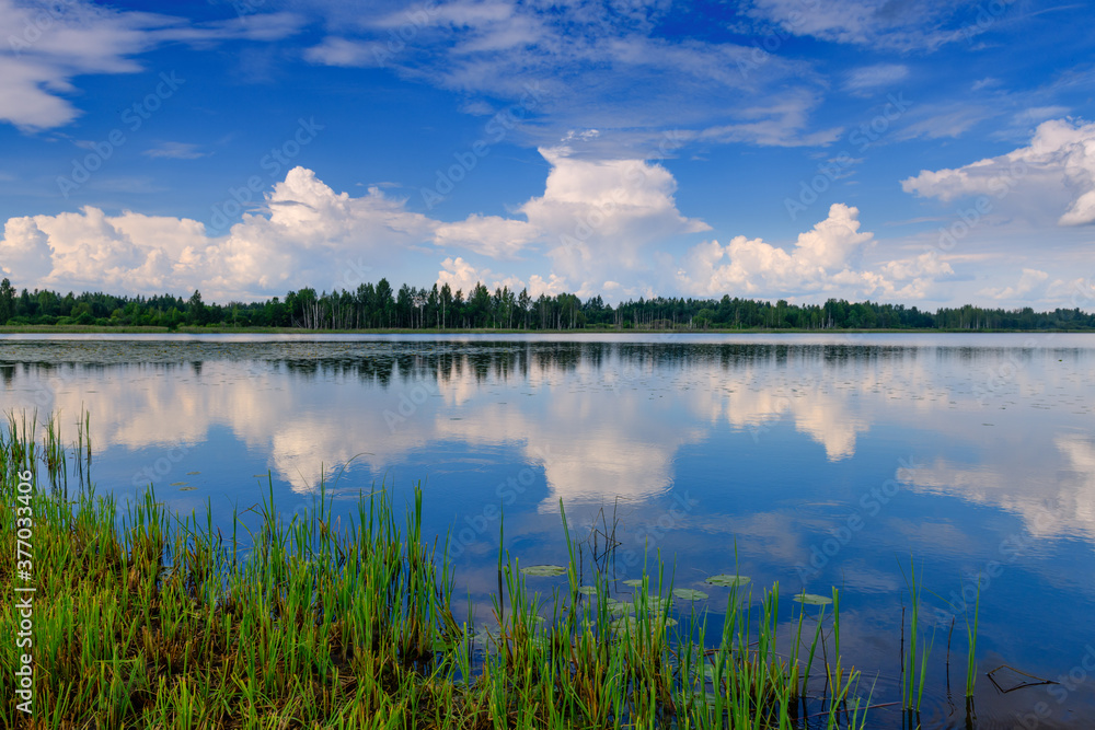 Awesome reserved lake in the Pskov region. Russia