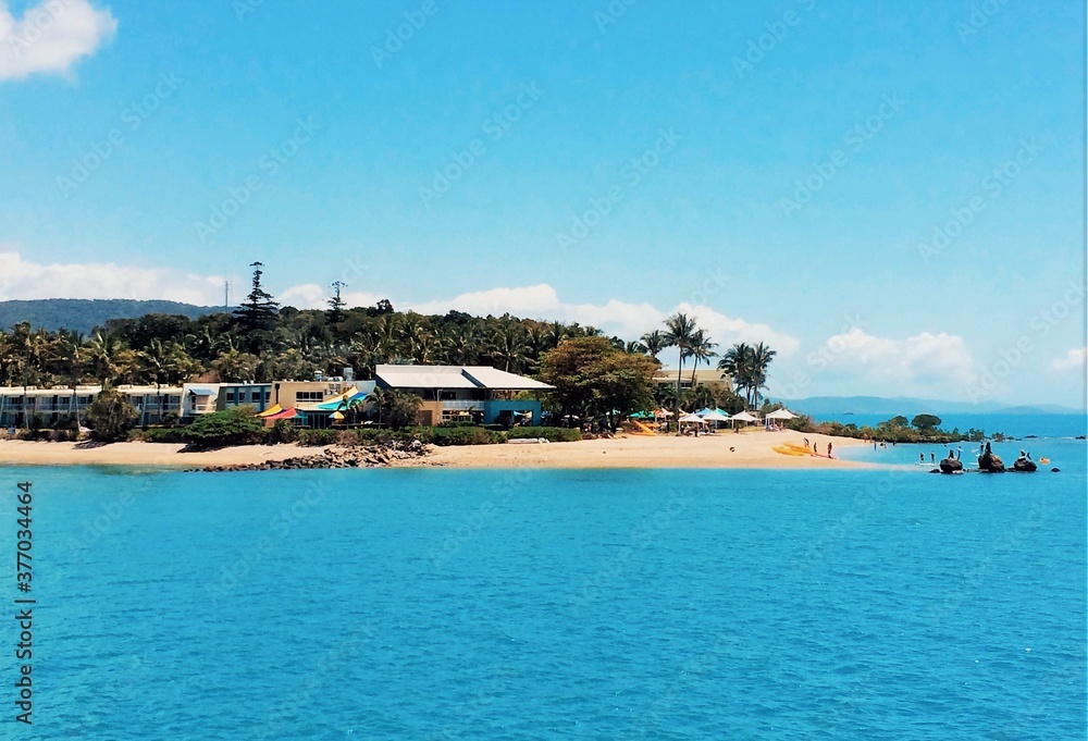 view of bay and beach daydream island Whitsundays australia