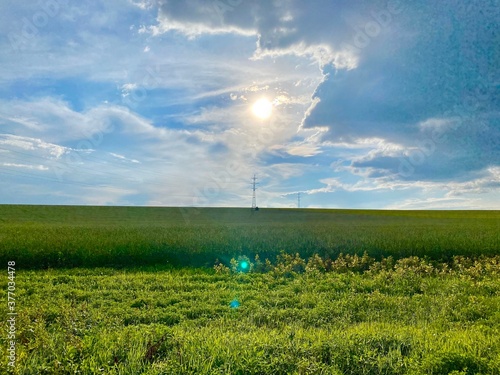 field and blue sky