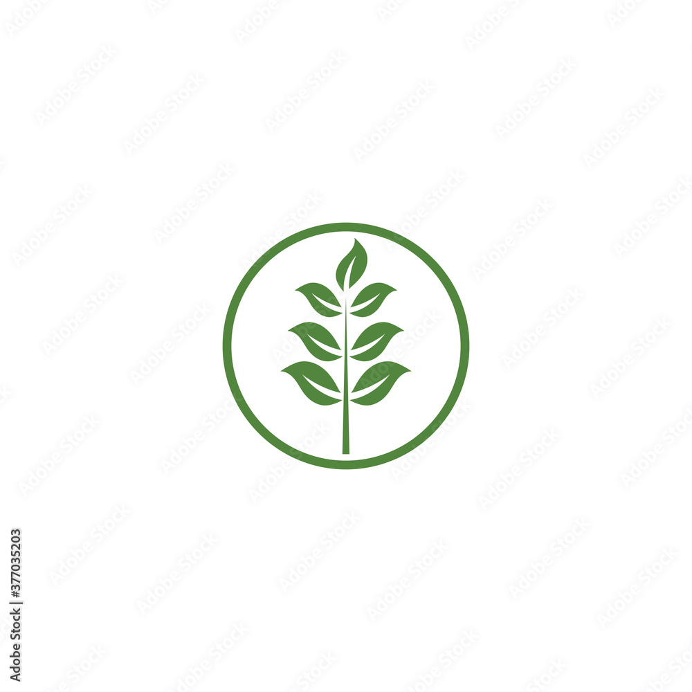 Green garden green leaf Logo Template