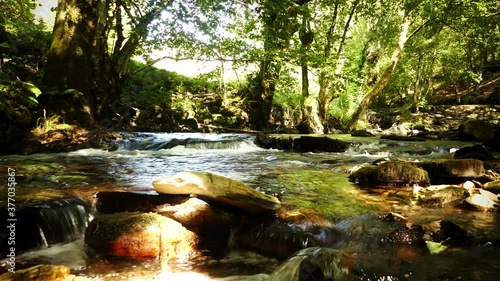 Naturaleza, rio Galicia, Courel.