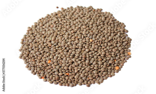 Lentils isolated on white background . bean. soy