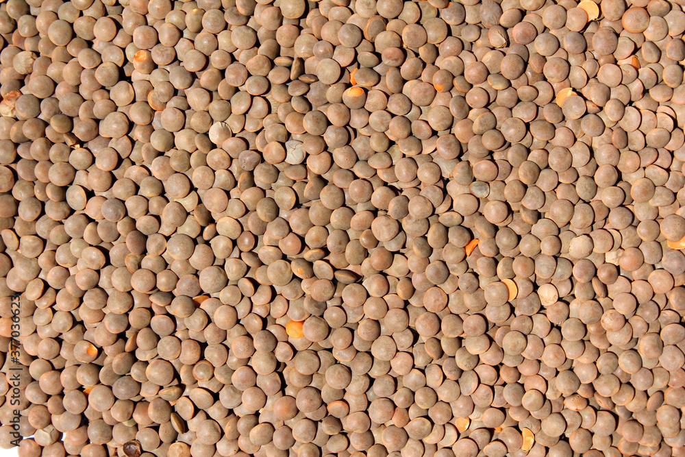 Lentils texture background . bean. soy Lentils texture background . bean. soy