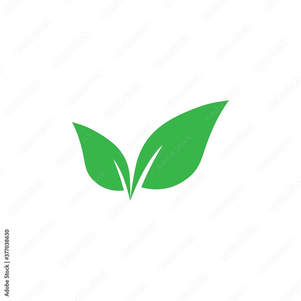 Fototapeta leaf logo