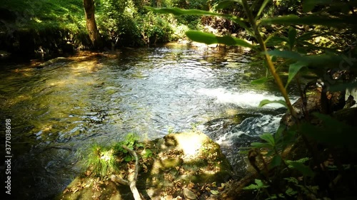 Naturaleza viva de Galicia, cascada y rios de la Galicia profunda.