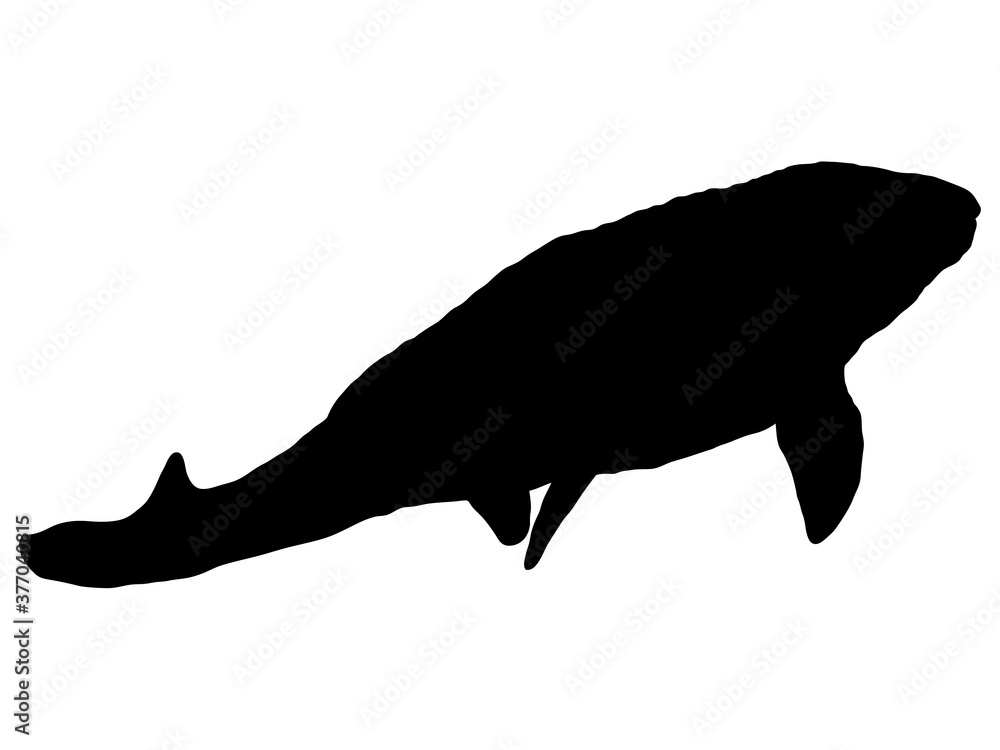 モササウルス_シルエット モササウルス_シルエット